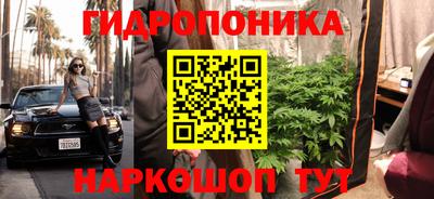 стаф Кулебаки