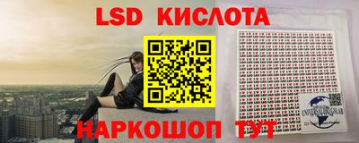 стаф Кулебаки