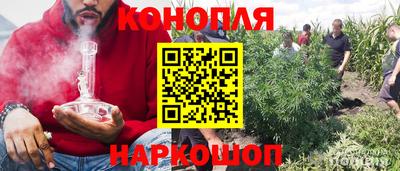 стаф Кулебаки