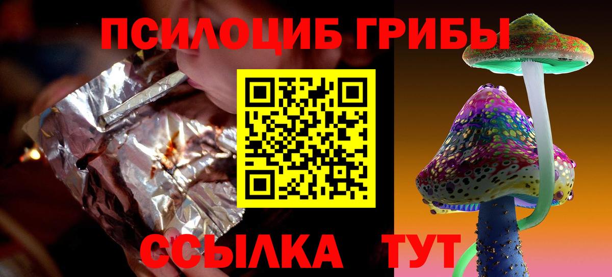 Саяногорск  Галлюциногенные грибы Psilocybe  Вход с VPN 